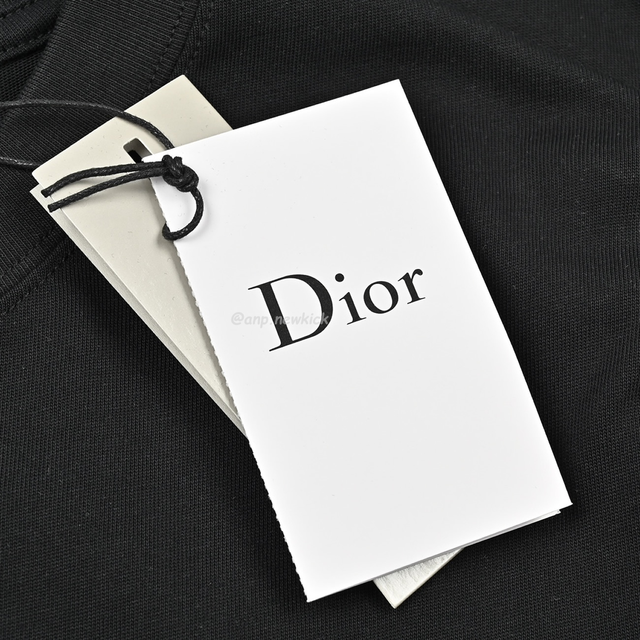 Dior 24ss Pin Logo Contrasting Embroidered Short Sleeved T Shirt (7) - www.newkick.vip